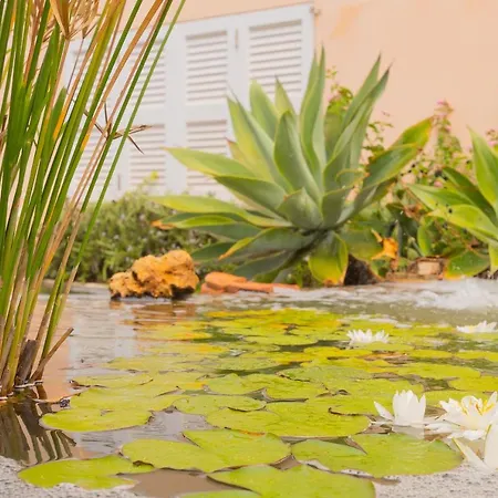 Dolce Holiday home Portocolom (Mallorca)